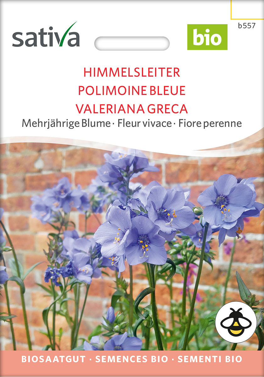 BIO Saatgut Himmelsleiter  Biogartenladen