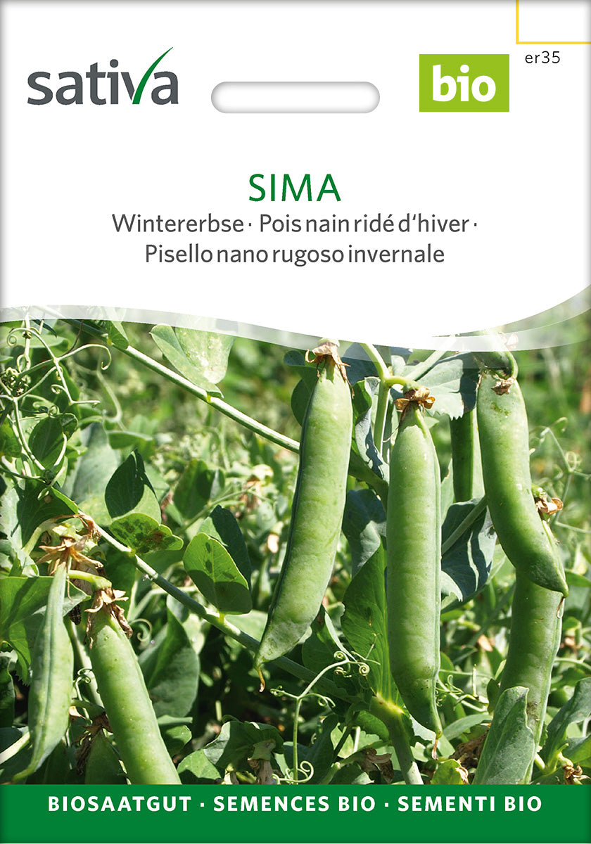BIO Saatgut Wintermarkerbse Sima – Biogartenladen