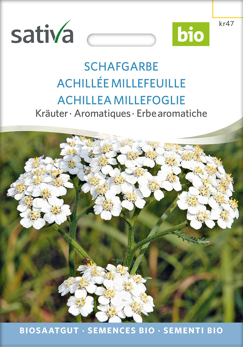 BIO Saatgut Schafgarbe – Biogartenladen