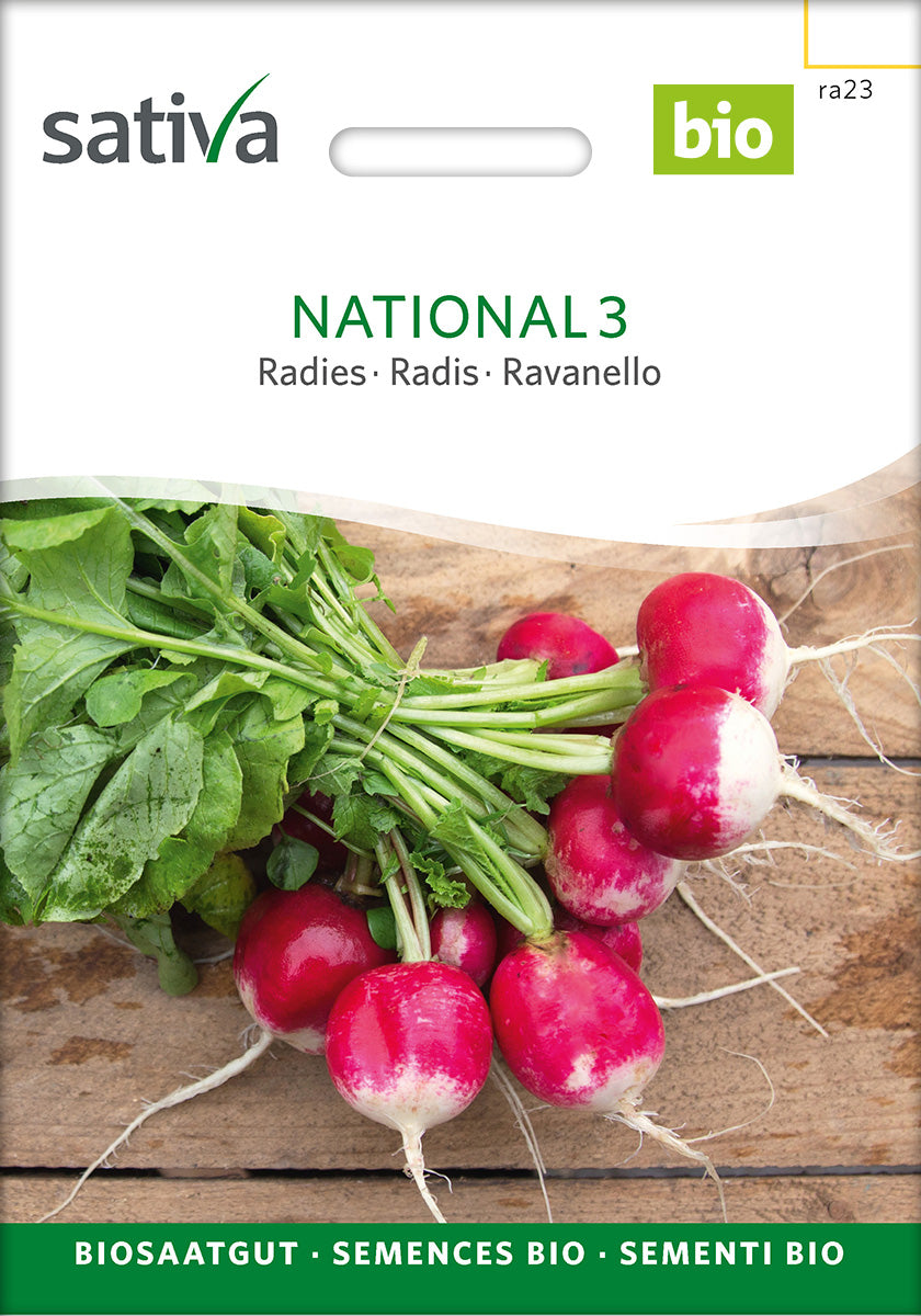 BIO Saatgut Radies National 3 – Biogartenladen