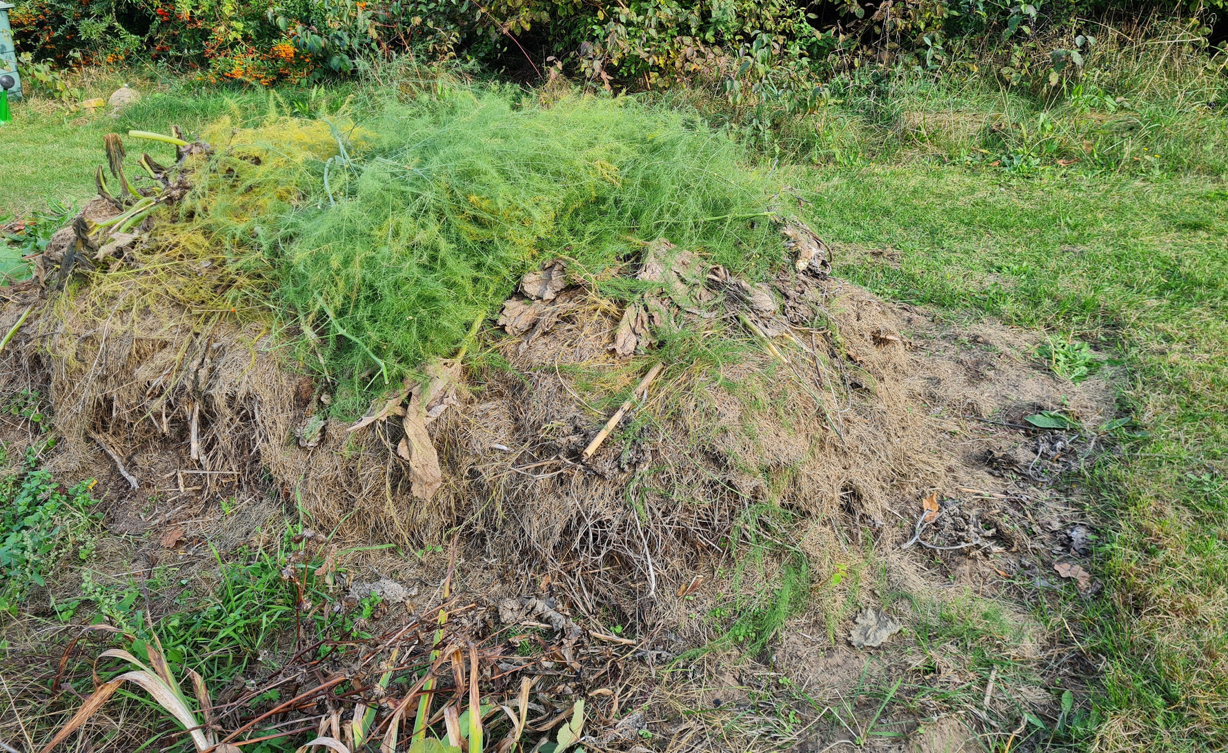 Kompost für die neue Saison - Blog Beitrag