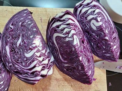 Rotkohl fermentieren