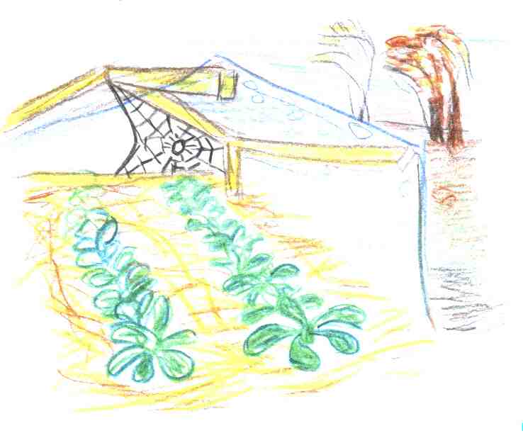 Herbstzeit ist Erntezeit