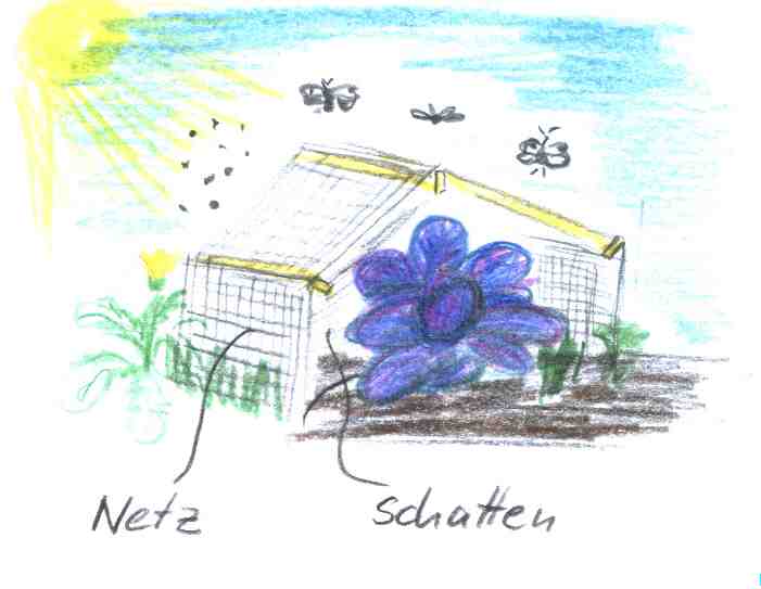 Schützen Sie Ihre Kulturen im Sommer