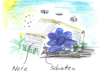 Schützen Sie Ihre Kulturen im Sommer