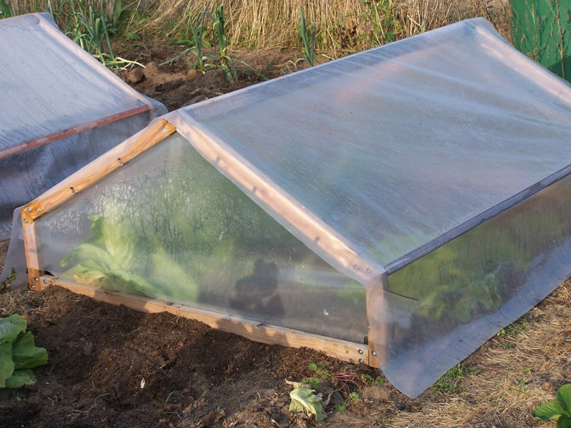 Aussaat- und Pflanztipps für März - Blog Beitrag