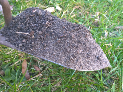 Anzuchterde selbst herstellen