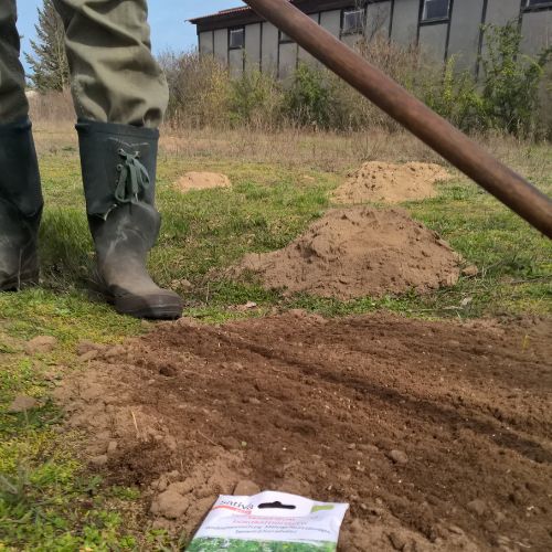 Maulwurfshügel auf dem Rasen - Blog Beitrag