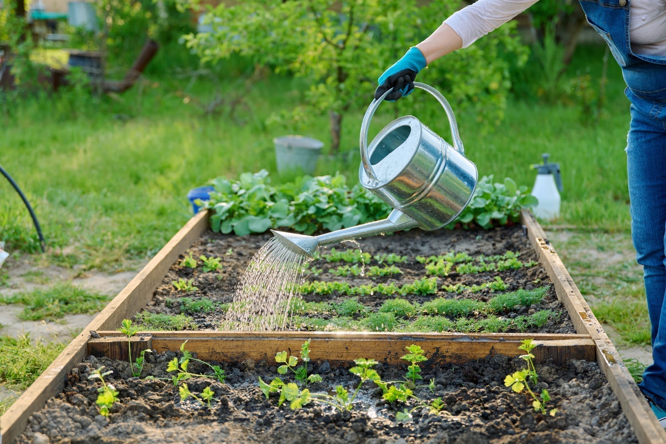 Natürlicher Dünger: So düngst du deinen Garten ohne Chemie