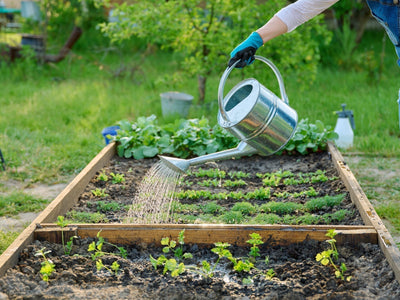 Natürlicher Dünger: So düngst du deinen Garten ohne Chemie
