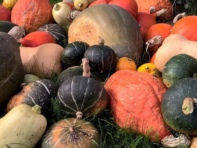 Was ist vor der Winterpause im Garten noch zu tun?