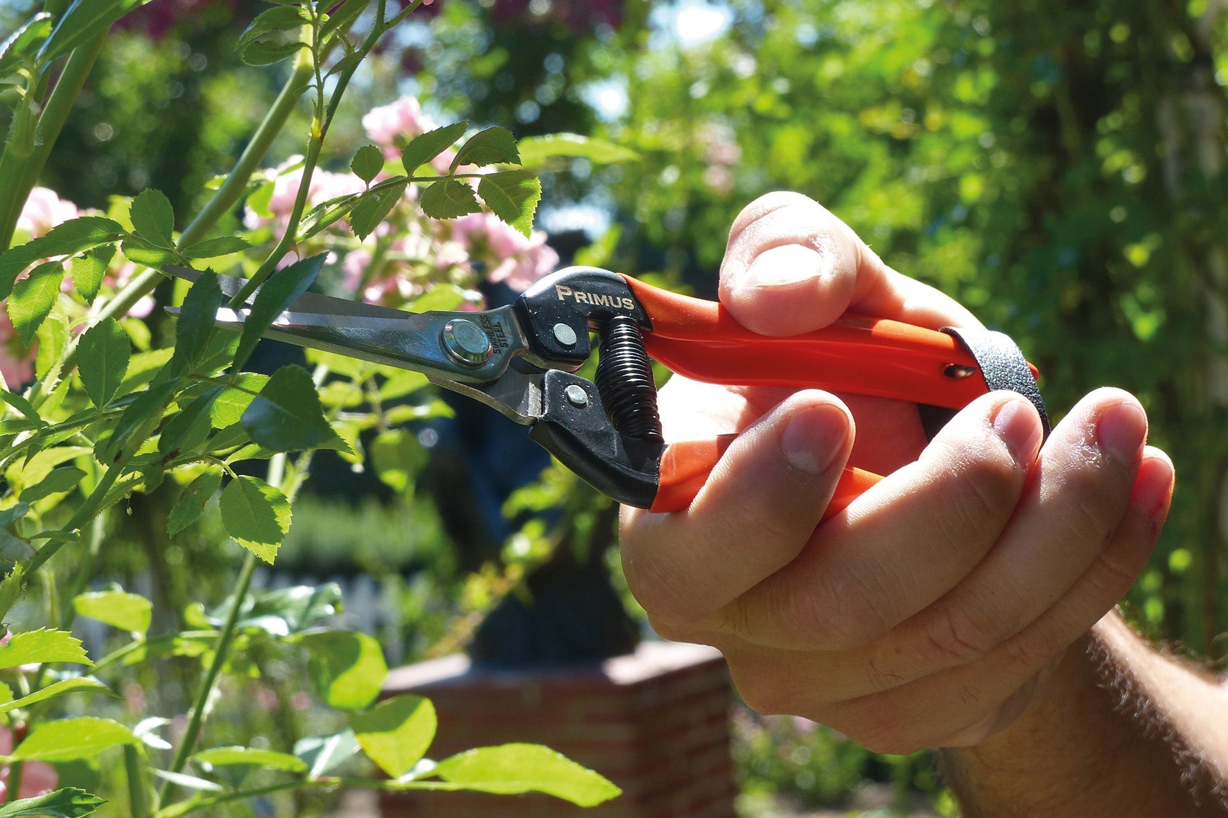 Eine gute Gartenschere ist unverzichtbar. Sie eignet sich zum Einkürzen von Ästen und Stengeln sowie zum Abschneiden und E...