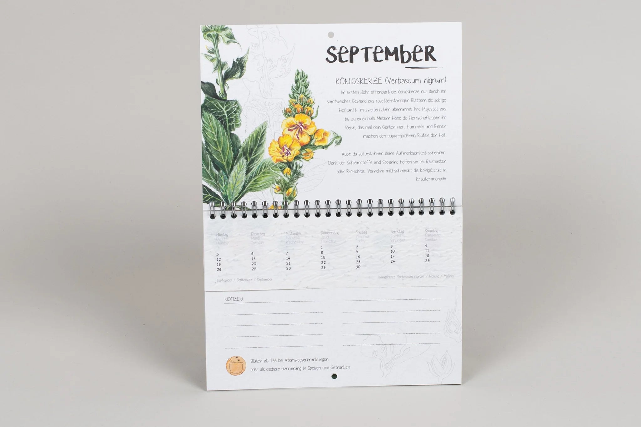 Ob Adventskalender, Gartenkalendarium, immerwährender Kalender, Aussaatkalender - als Geschenkidee oder persönlicher Termi...