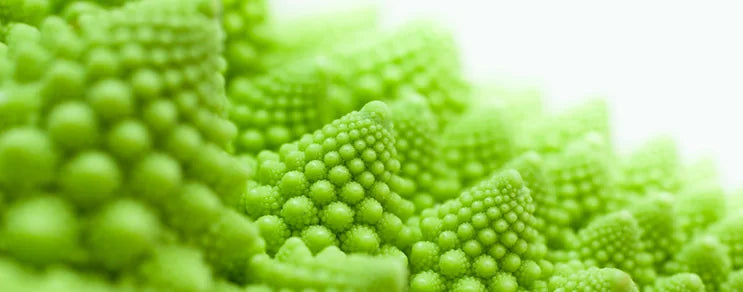 Alle Kohlarten benötigen einen tiefgelockerten, humus- und nährstoffreichen Boden mit einem pH-Wert von 7. Kohl braucht au...