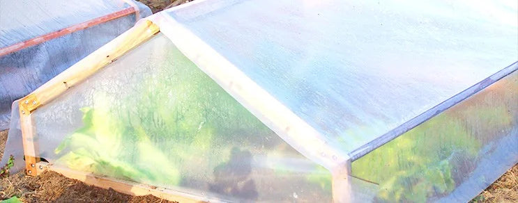 Erst wenn die Erde genügend abgetrocknet ist u. sich ausreichend erwärmt hat, kann man säen. Tomaten u. Paprika zieht man ...