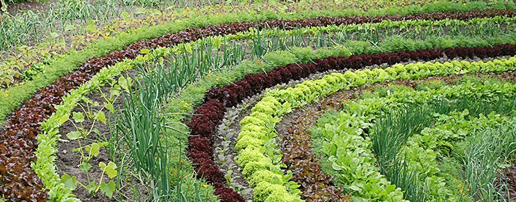 Wir suchen immer nach neuem hochwertigen, durchdachten und schönen Biogartenzubehör.