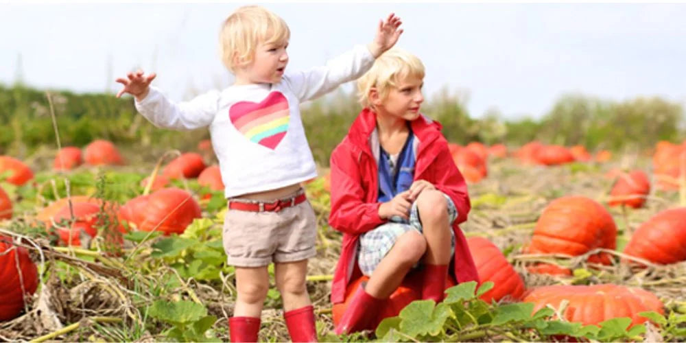 Nachhaltiges Gärtnern mit Kindern: Entdecken Sie kindgerechtes Saatgut, Werkzeuge & Ideen für grüne Gartenprojekte. Gemein...
