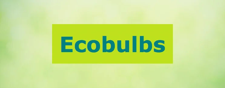 Die Farm wird seit 2002 100% biologisch bewirtschaftet und ist spezialisiert auf Blumenzwiebeln von ausgezeichneter Qualität.