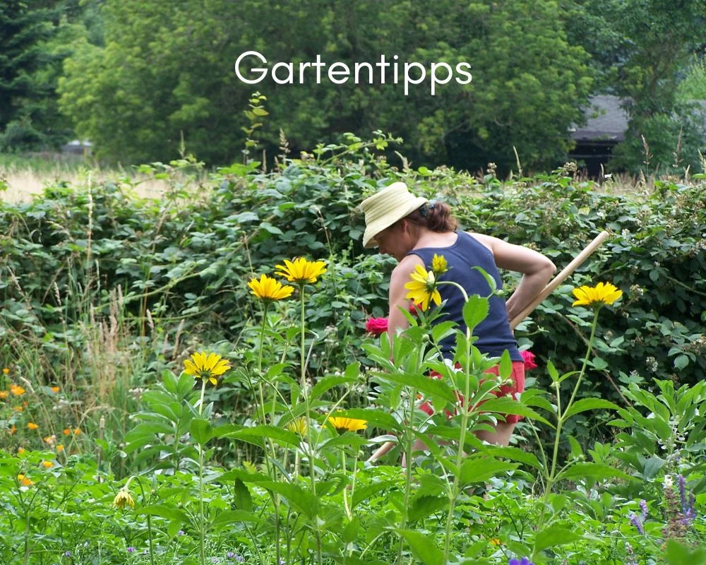 Tipps für mehr Natur im Garten: Bevorzugen Sie heimische standortgerechte Bäume, Sträucher u. Stauden für die Gartengestal...