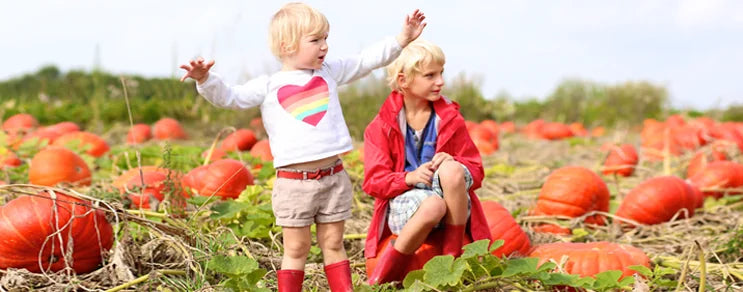 Alles was Sie über uns als Biogarten-Onlineversand u. den Einkauf bei uns wissen müssen, nützliche Gartentipps, monatl. Au...