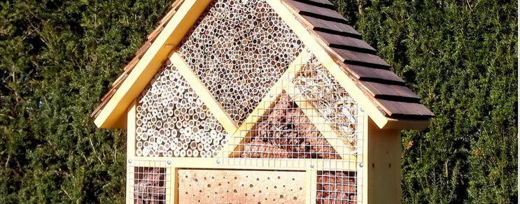 Insekten finden kaum artgerechte Lebensräume. Ein Insektenhotel kann neuen Lebensraum für Nützlinge bieten.