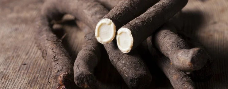 Schwarzwurzeln sind frosthart und können auf dem Feld bleiben. Auch Wurzeln von blühenden Pflanzen können noch gegessen we...