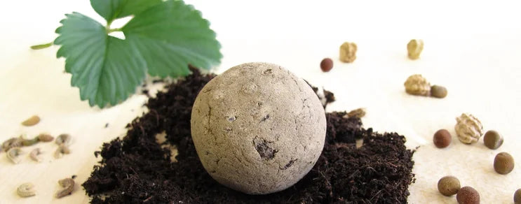 einfach und genial - werfen Sie die Samenbomben genau dahin, wo bunte Blumen vermisst werden und wachsen können.