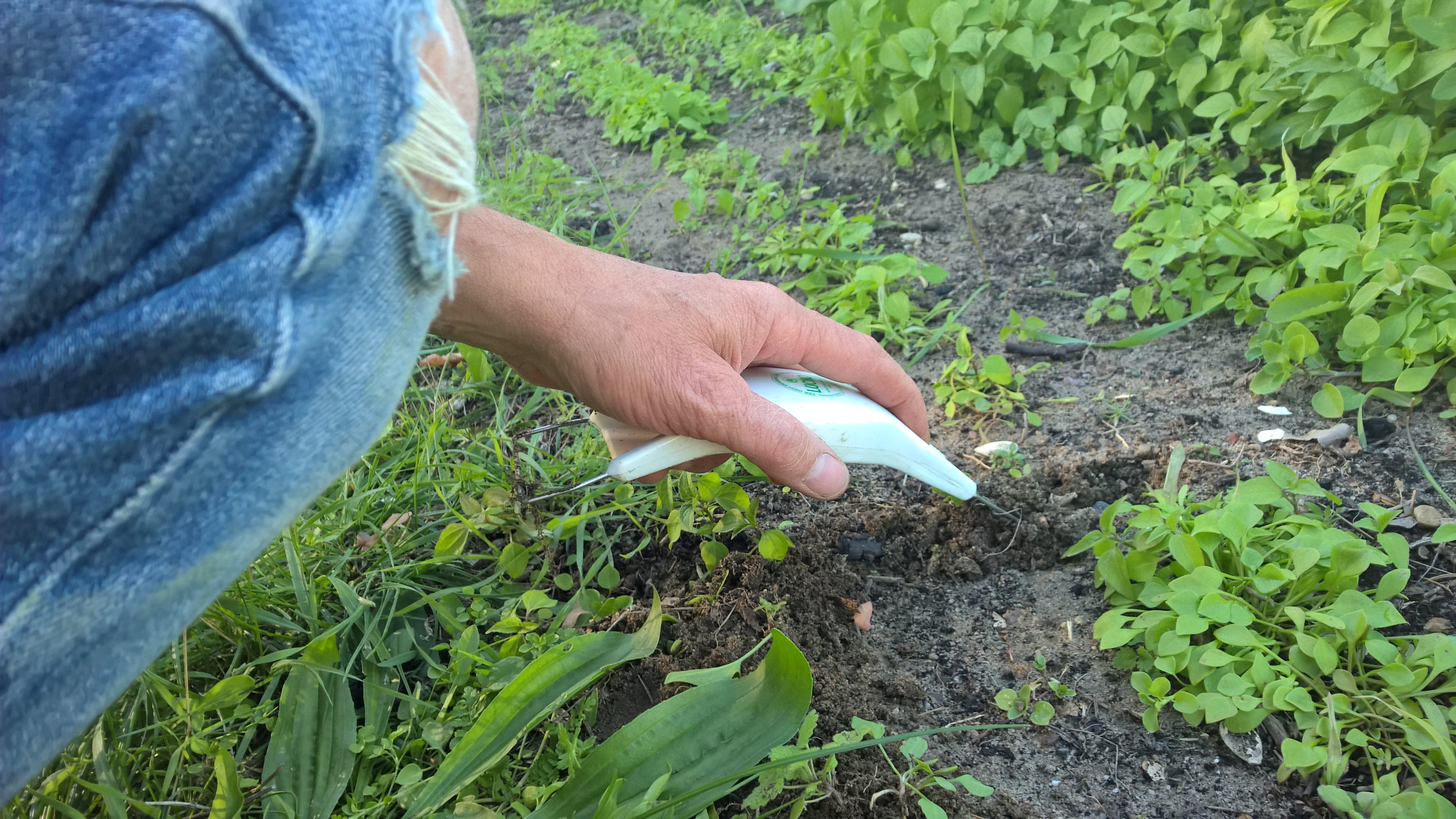 Ob Löwenzahnzieher, Unkrautausstecher, Pendelhacke, Jätefaust oder Mulchfolie – Gärtnern macht viel mehr Freude mit geeign...
