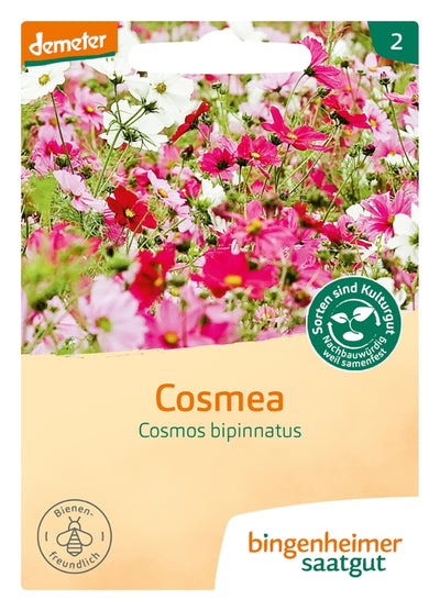 BIO Saatgut Cosmea