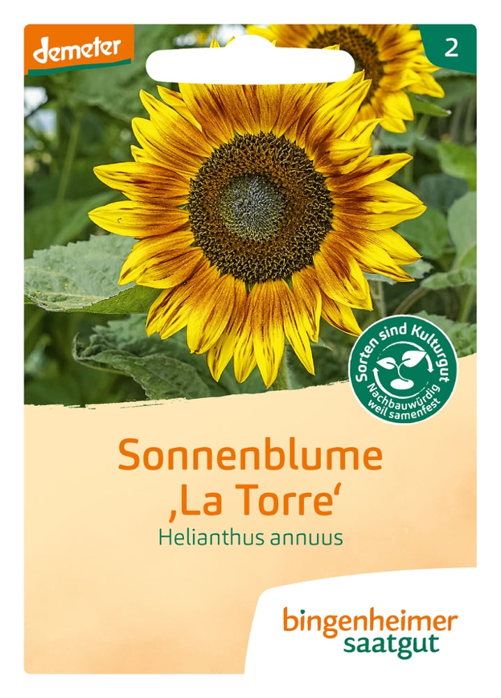 BIO Saatgut Sonnenblume La Torre – Biogartenladen