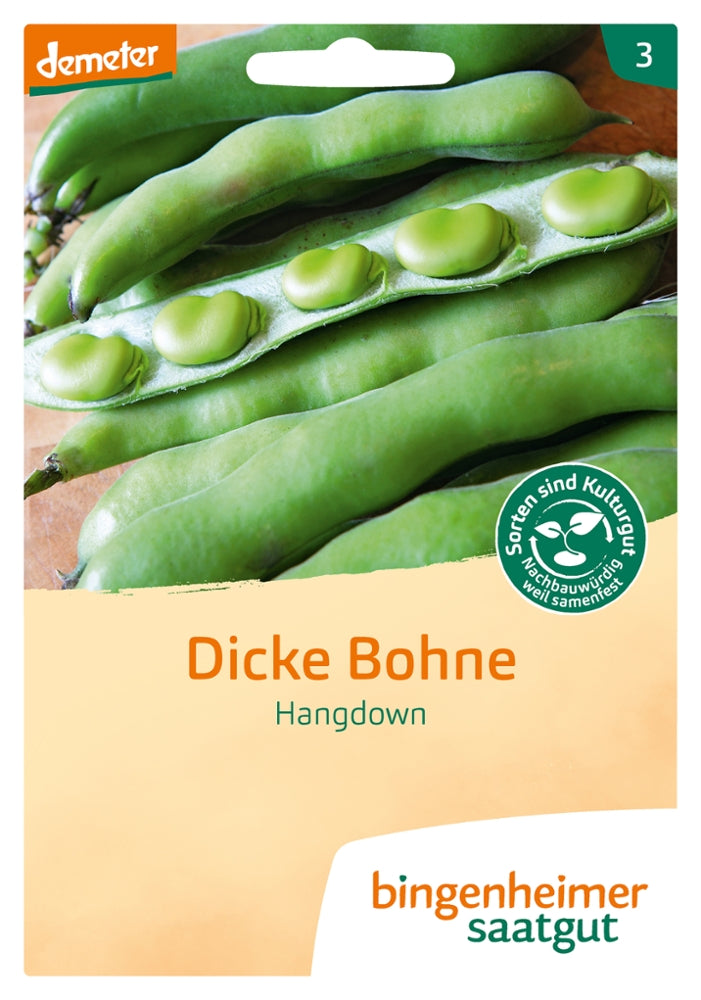 ackerbohnen saatgut kaufen BIO Saatgut Dicke Bohne Hangdown grünkernig – Biogartenladen