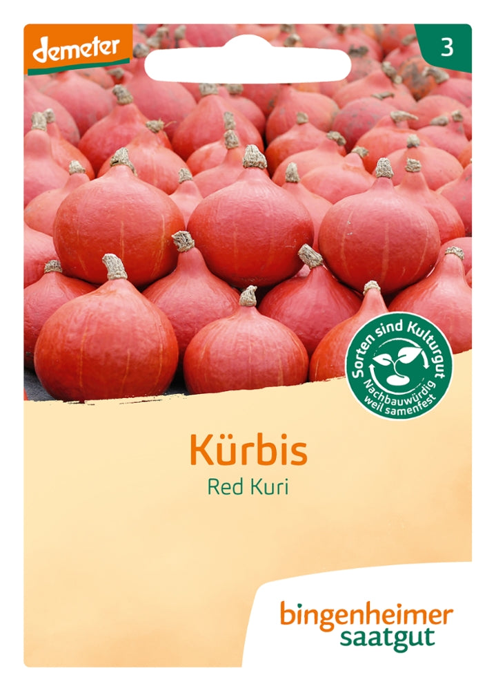 BIO Saatgut Hokkaido-Kürbis Red Kuri – Biogartenladen