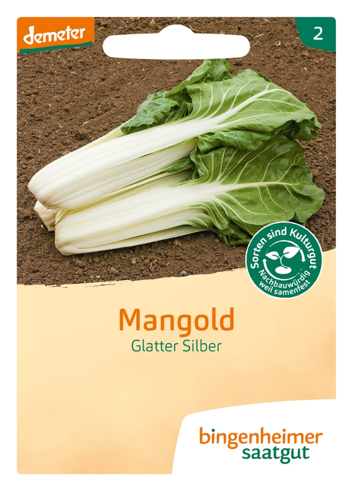 BIO Saatgut Mangold Glatter Silber