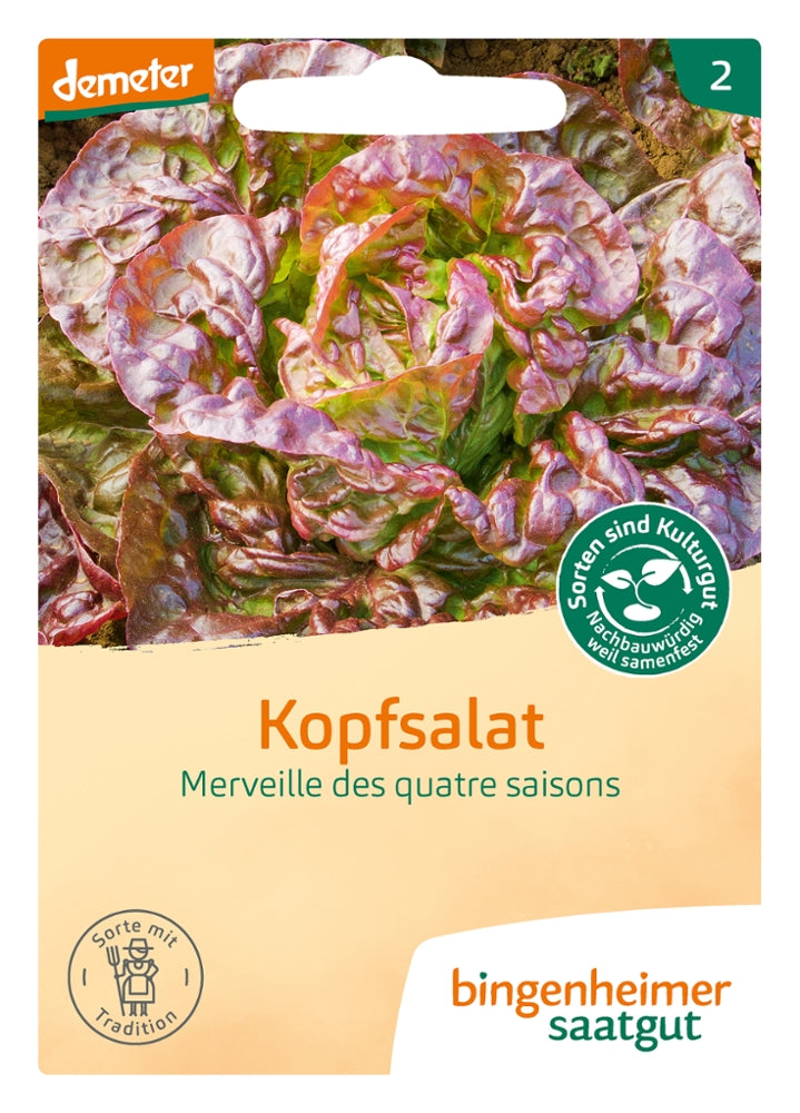 BIO Saatgut Kopfsalat Merveille des quatre saisons 