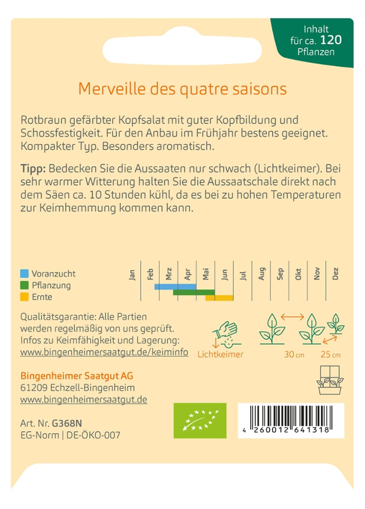 BIO Saatgut Kopfsalat Merveille des quatre saisons Aussaatanleitung