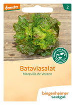 BIO Saatgut Bataviasalat Maravilla de Verano
