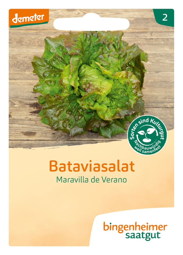 BIO Saatgut Bataviasalat Maravilla de Verano