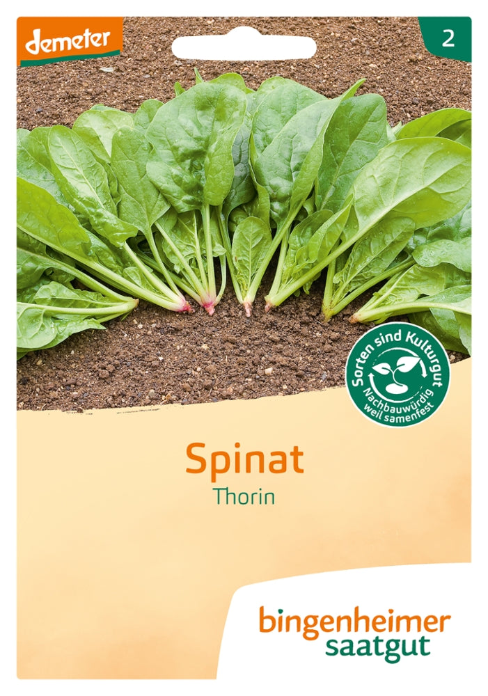 BIO Saatgut Spinat Thorin (Matador) – Biogartenladen
