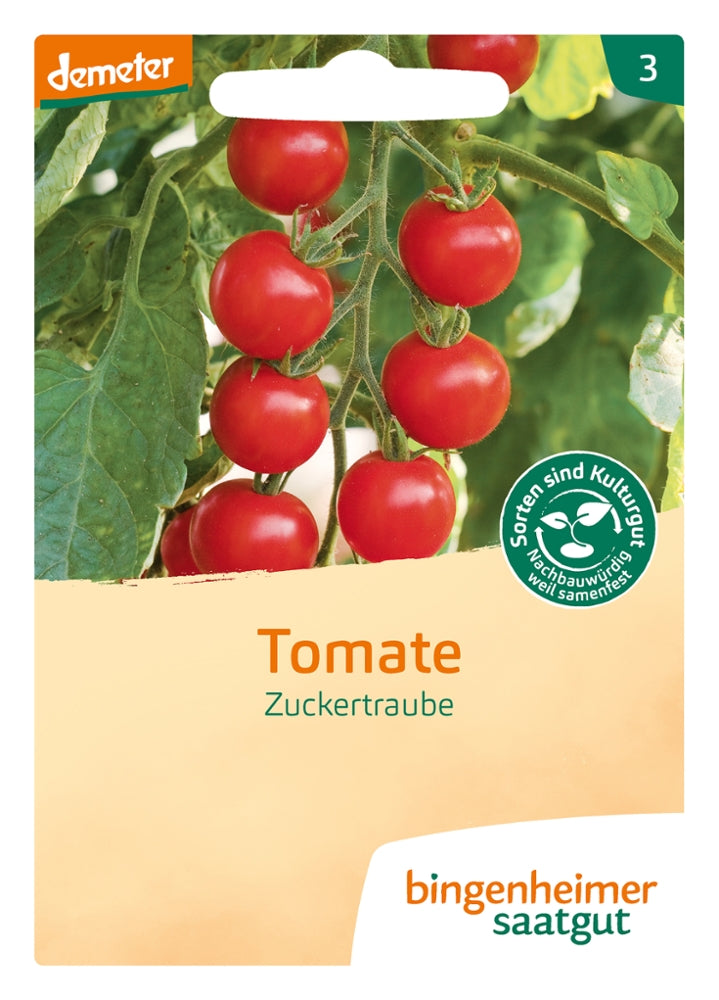 BIO Tomatensamen samenfest kaufen  Biogartenladen
