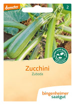BIO Saatgut Zucchini Zuboda