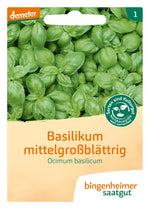 BIO Saatgut Basilikum mittelgroßblättrig
