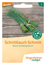 BIO Saatgut Schnittlauch Schmitt, mittelgrobröhrig
