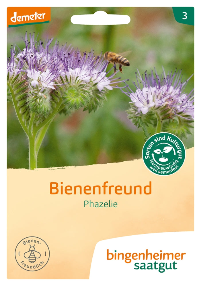 BIO Saatgut Bienenfreund Phacelia in Demeter-Qualität – Samenecht und nachbaufähig für Gründüngung und Bienenweide im Garten