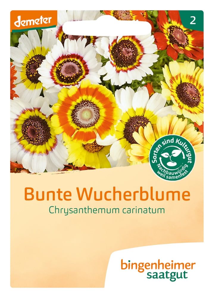 BIO Saatgut Bunte Wucherblume
