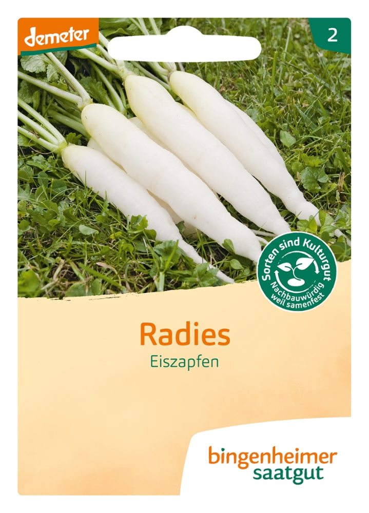 BIO Saatgut Radieschen  Biogartenladen