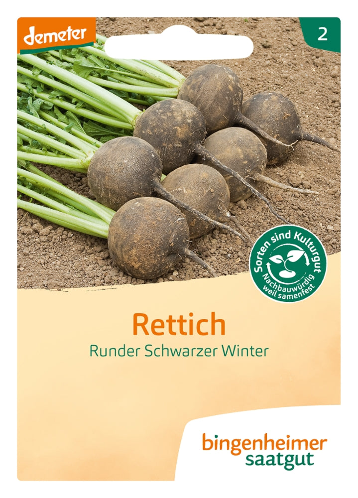 BIO Saatgut Rettich Runder Schwarzer Winter