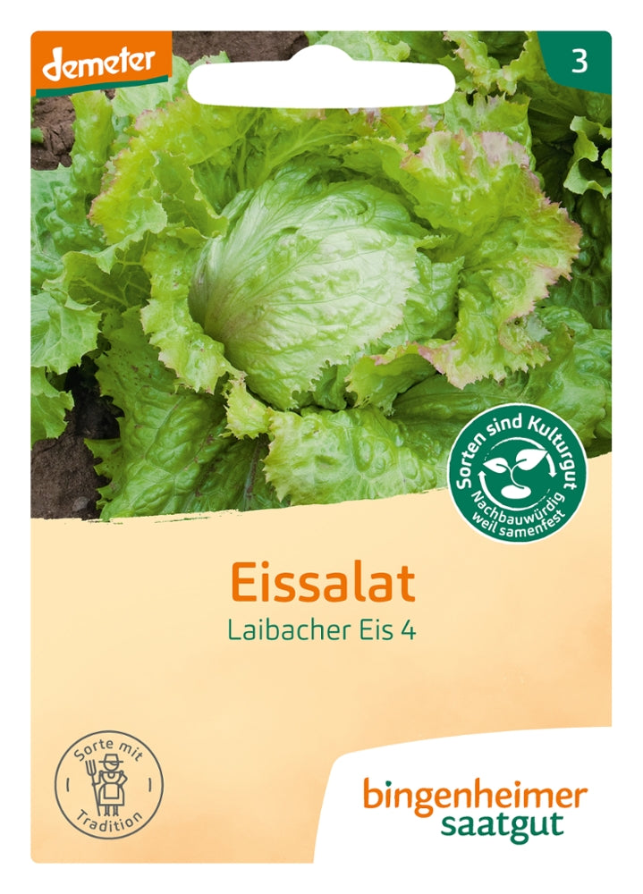 BIO Saatgut Eissalat Laibacher Eis 4