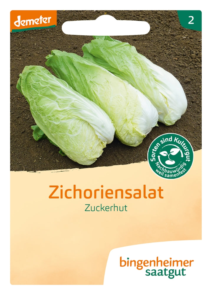 BIO Saatgut Zuckerhut – Biogartenladen