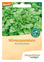 BIO Saatgut Winterpostelein