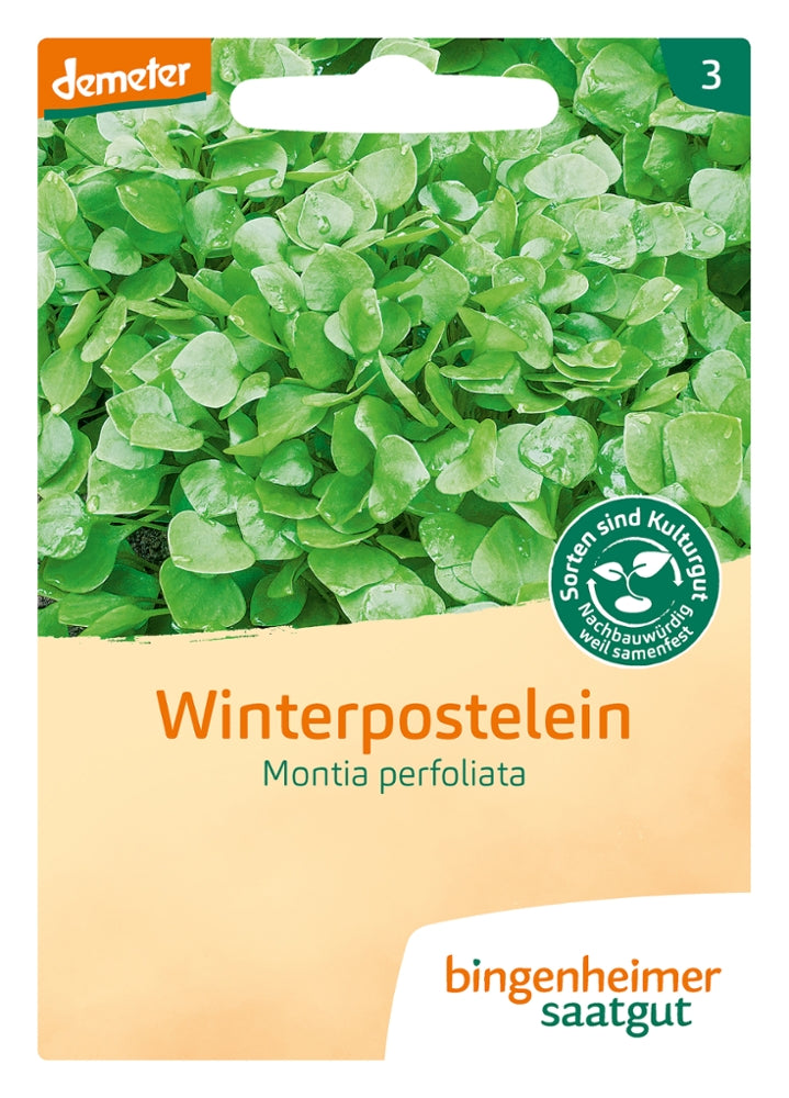 BIO Saatgut Winterpostelein